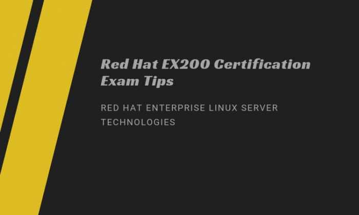 Employees Training Essentials: RedHat RHCSA EX200 Certification Exam Sns-Brigh10